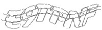 Check code