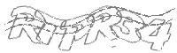 Check code