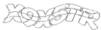 Check code
